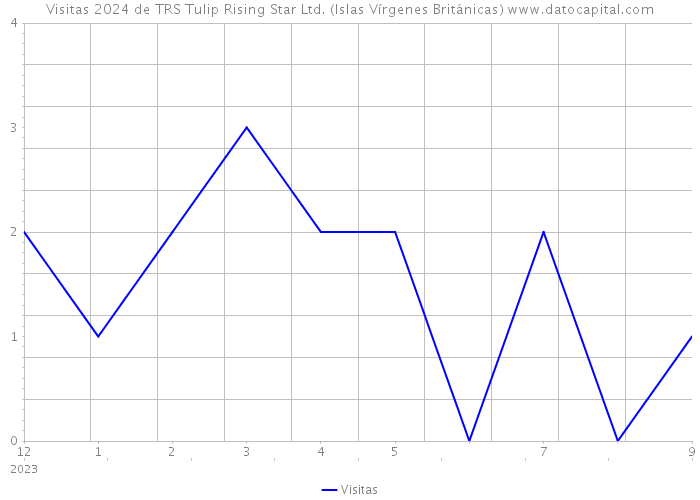 Visitas 2024 de TRS Tulip Rising Star Ltd. (Islas Vírgenes Británicas) 