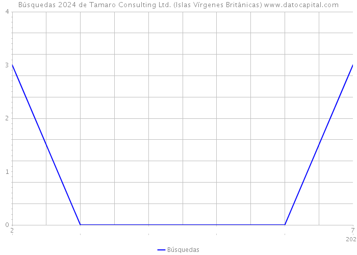 Búsquedas 2024 de Tamaro Consulting Ltd. (Islas Vírgenes Británicas) 