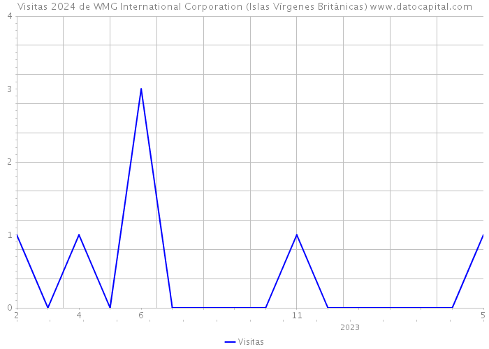 Visitas 2024 de WMG International Corporation (Islas Vírgenes Británicas) 
