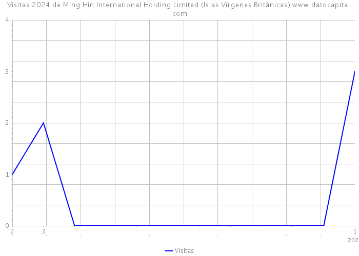 Visitas 2024 de Ming Hin International Holding Limited (Islas Vírgenes Británicas) 