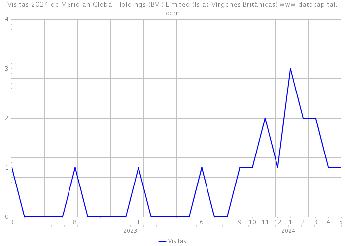 Visitas 2024 de Meridian Global Holdings (BVI) Limited (Islas Vírgenes Británicas) 
