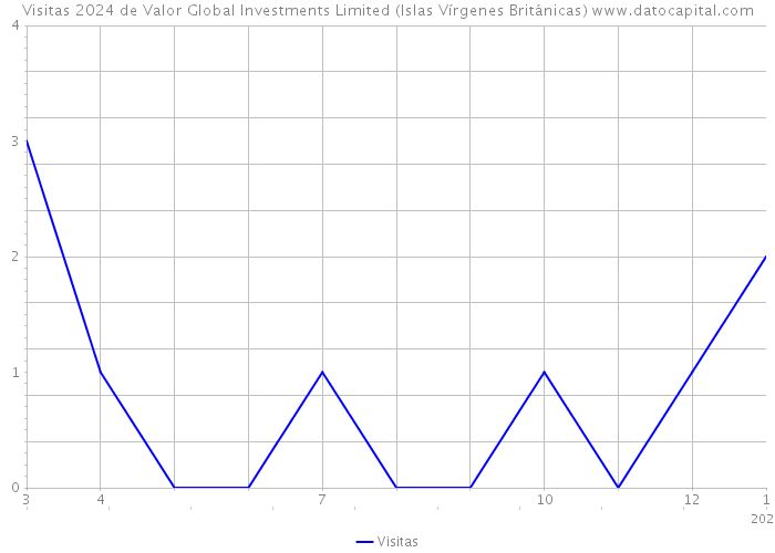 Visitas 2024 de Valor Global Investments Limited (Islas Vírgenes Británicas) 