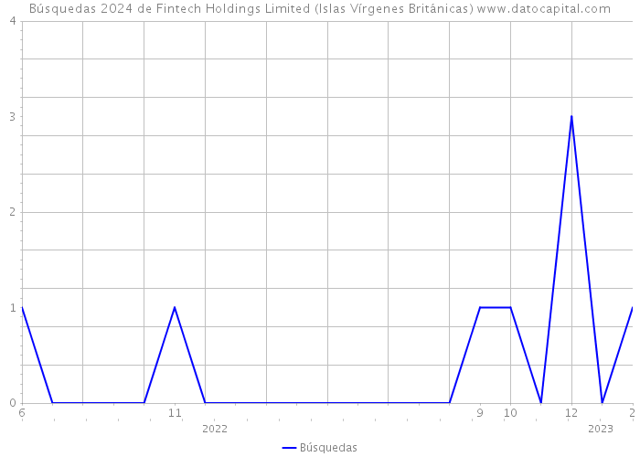 Búsquedas 2024 de Fintech Holdings Limited (Islas Vírgenes Británicas) 