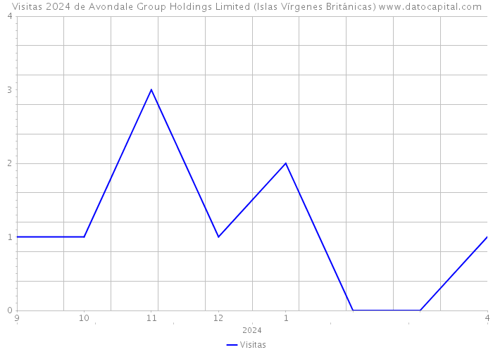 Visitas 2024 de Avondale Group Holdings Limited (Islas Vírgenes Británicas) 