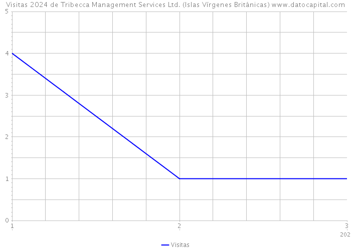 Visitas 2024 de Tribecca Management Services Ltd. (Islas Vírgenes Británicas) 