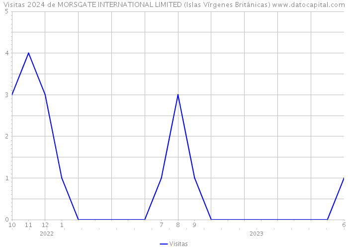 Visitas 2024 de MORSGATE INTERNATIONAL LIMITED (Islas Vírgenes Británicas) 