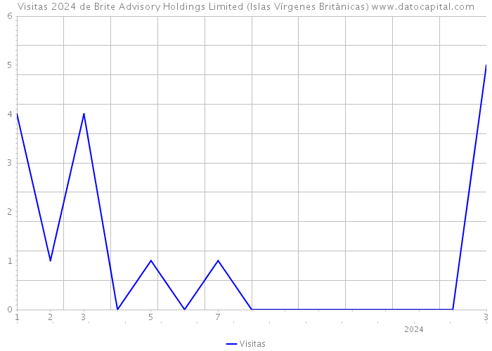Visitas 2024 de Brite Advisory Holdings Limited (Islas Vírgenes Británicas) 