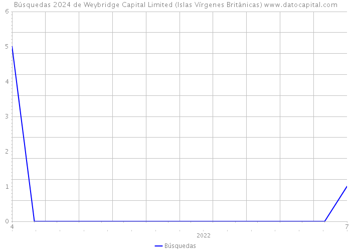 Búsquedas 2024 de Weybridge Capital Limited (Islas Vírgenes Británicas) 