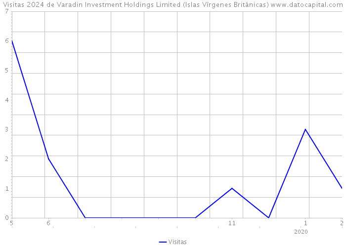 Visitas 2024 de Varadin Investment Holdings Limited (Islas Vírgenes Británicas) 